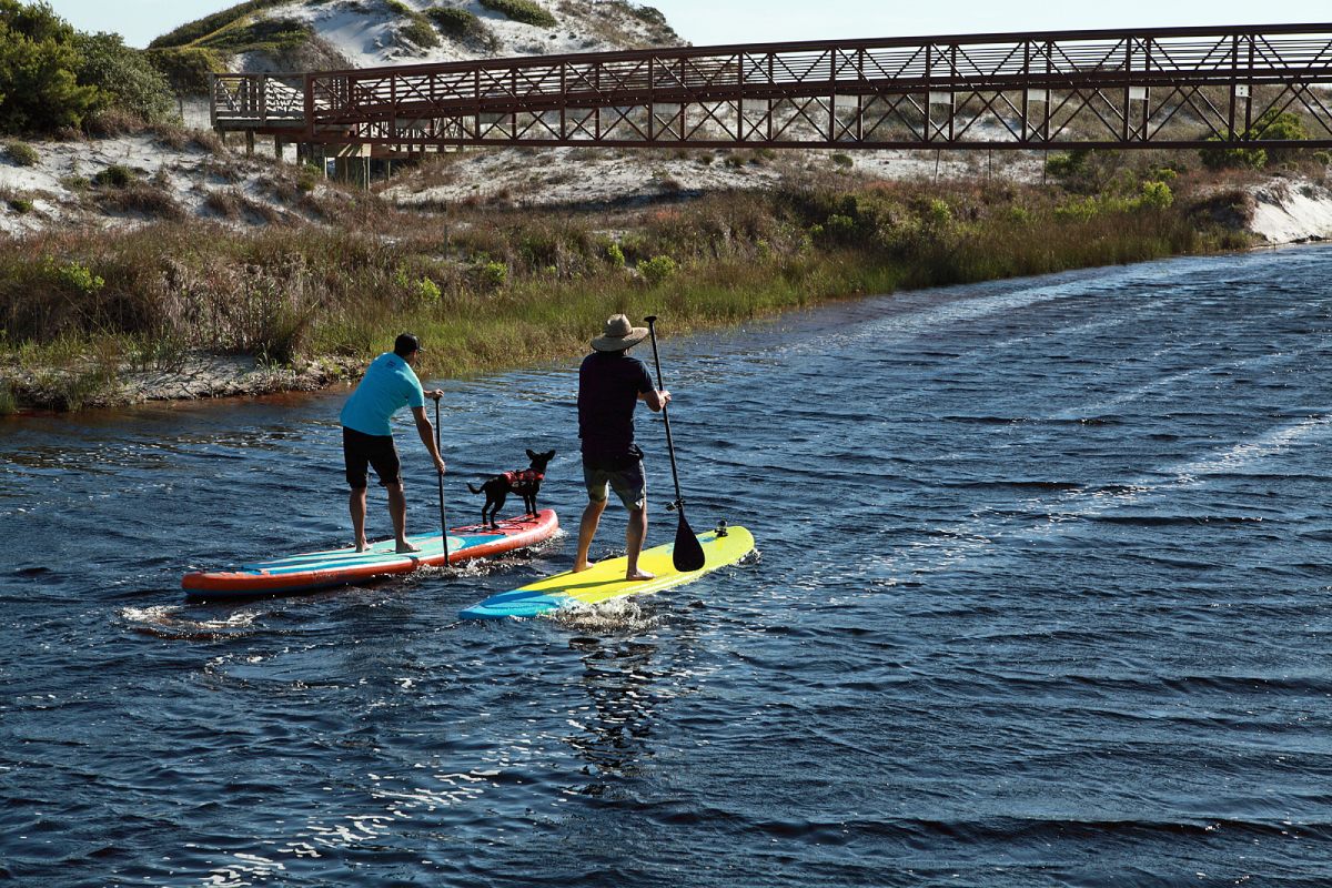 Paddleboarding with Dog in South Walton