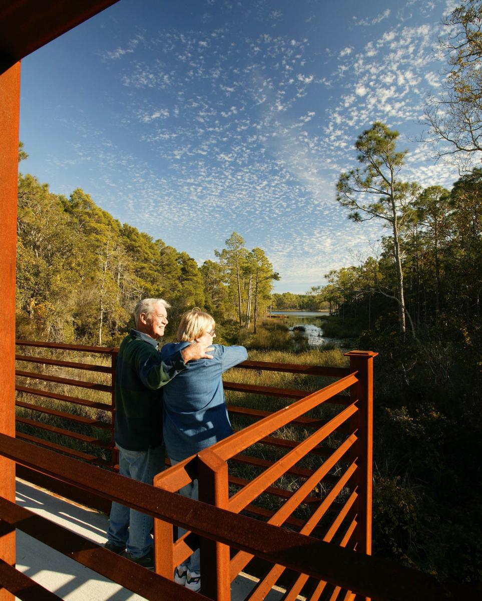 Overlooking a dune lake in Blue Mountain
